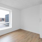 Lej 3-værelses hus på 74 m² i Fredericia