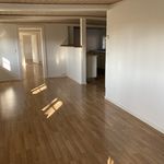 Lej 4-værelses hus på 122 m² i Holeby